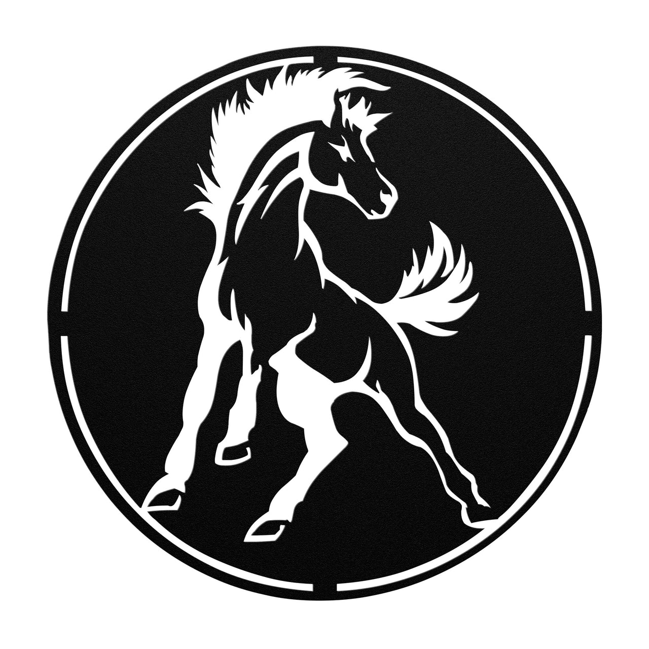 Bronco-Mustang-Stallion 3696